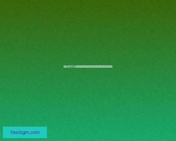 基于x800xl显卡技术分析与应用探讨，提升图形性能的关键因素解析